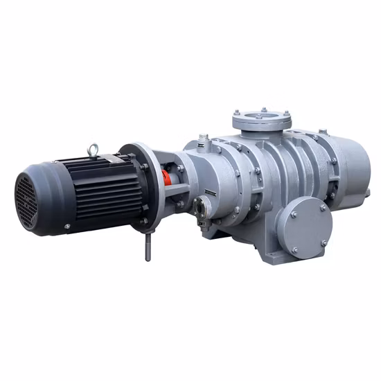 Zj Free Oil Lower Noise Roots Vacuum mechanical Booster Pump